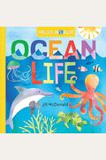 Hello, World! Ocean Life
