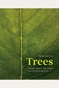 Trees: From Root To Leaf