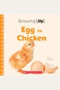 Egg To Chicken (Growing Up) (Paperback)