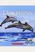 Dolphins Natures Children