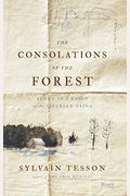 The Consolations Of The Forest: Alone In A Cabin On The Siberian Taiga