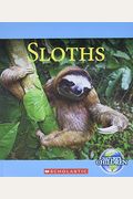 Sloths (Nature's Children)
