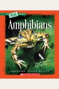 Amphibians (A True Book: Animal Kingdom)