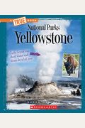 Yellowstone (a True Book: National Parks) (Library Edition)