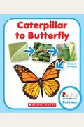 Caterpillar To Butterfly (Rookie Read-About Science (Paperback))