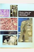 Photo Atlas For Anatomy And Physiology