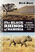 Black Rhinos of Namibia: Searching for Survivors in the African Desert