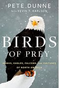 Birds Of Prey: Hawks, Eagles, Falcons, And Vultures Of North America