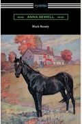 Black Beauty Illustrated by Robert L Dickey