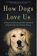 How Dogs Love Us: A Neuroscientist And His Adopted Dog Decode The Canine Brain