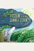 Possum And The Summer Storm