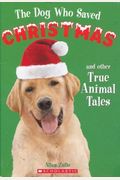 The Dog Who Saved Christmas And Other True Animal Tales
