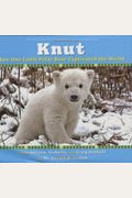Knut: L'ourson Polaire Qui Captiva Le Monde