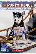 Bear (The Puppy Place #14): Volume 14