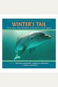 Winter's Tail: How One Little Dolphin Learned To Swim Again