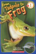 From Tadpole To Frog (Scholastic Reader, Level 1)