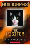 The Visitor