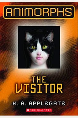 The Visitor The Visitor