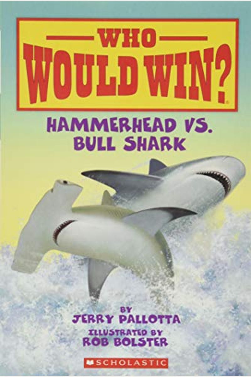 Hammerhead Vs. Bull Shark