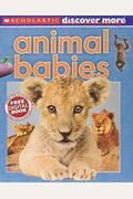 Scholastic Discover More: Animal Babies