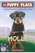 Molly (Puppy Place #31), Volume 31