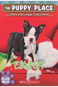 Daisy (The Puppy Place #38): Volume 38