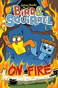 Bird And Squirrel On Fire
