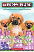 Sugar, Gummi, And Lollipop (Turtleback School & Library Binding Edition) (Puppy Place)