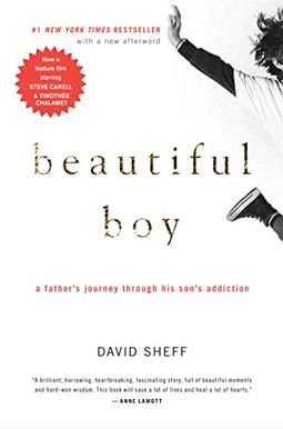 Beautiful Boy: A Father's Journey Through His Son's Meth Addiction Beautiful Boy: A Father's Journey Through His Son's Meth Addiction