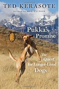 Pukka's Promise: The Quest For Longer-Lived Dogs