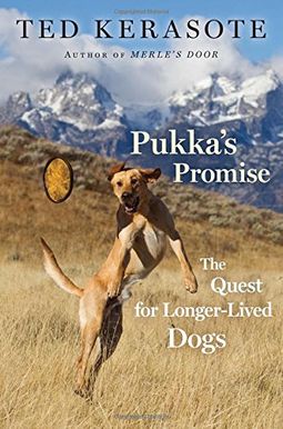 Pukka's Promise: The Quest For Longer-Lived Dogs Pukka's Promise: The Quest For Longer-Lived Dogs