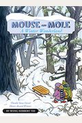 Mouse And Mole, A Winter Wonderland (A Mouse And Mole Story)