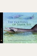 The Dolphins Of Shark Bay