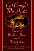 Cat Caught My Heart: Stories Of Wisdom, Hope, And Purrfect Love