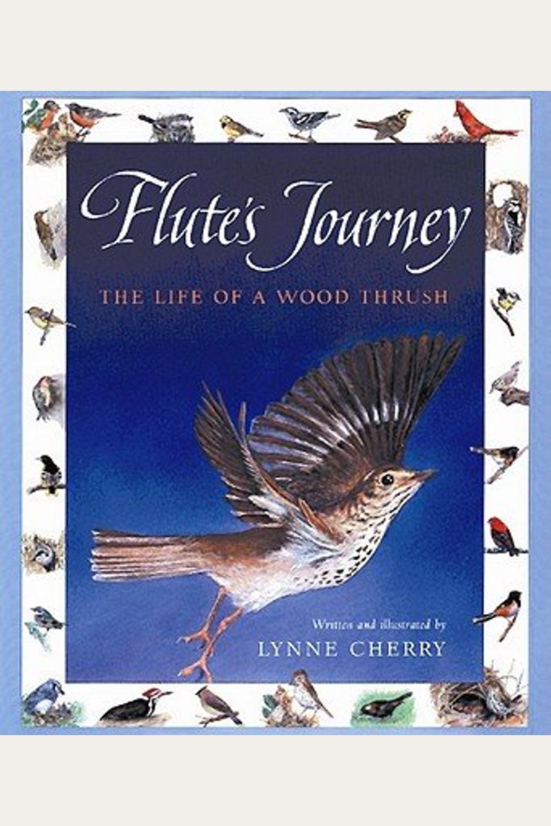 Buy Flutes Journey The Life Of A Wood Thrush Book