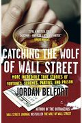 Catching The Wolf Of Wall Street: More Incredible True Stories Of Fortunes, Schemes, Parties, And Prison
