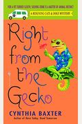 Right From The Gecko
