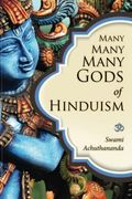 Many Many Many Gods Of Hinduism Turning Believers Into Nonbelievers And Nonbelievers Into Believers