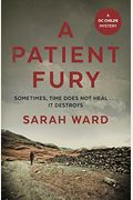 A Patient Fury (Dc Childs Mystery)