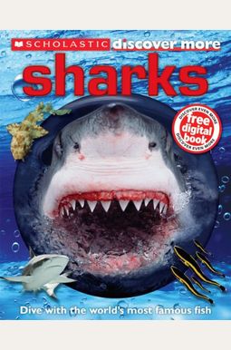Sharks Sharks
