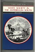 White Society In The Antebellum South