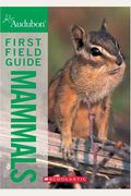 National Audubon Society First Field Guide Ma