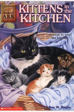 Kittens In The Kitchen Kittens In The Kitchen