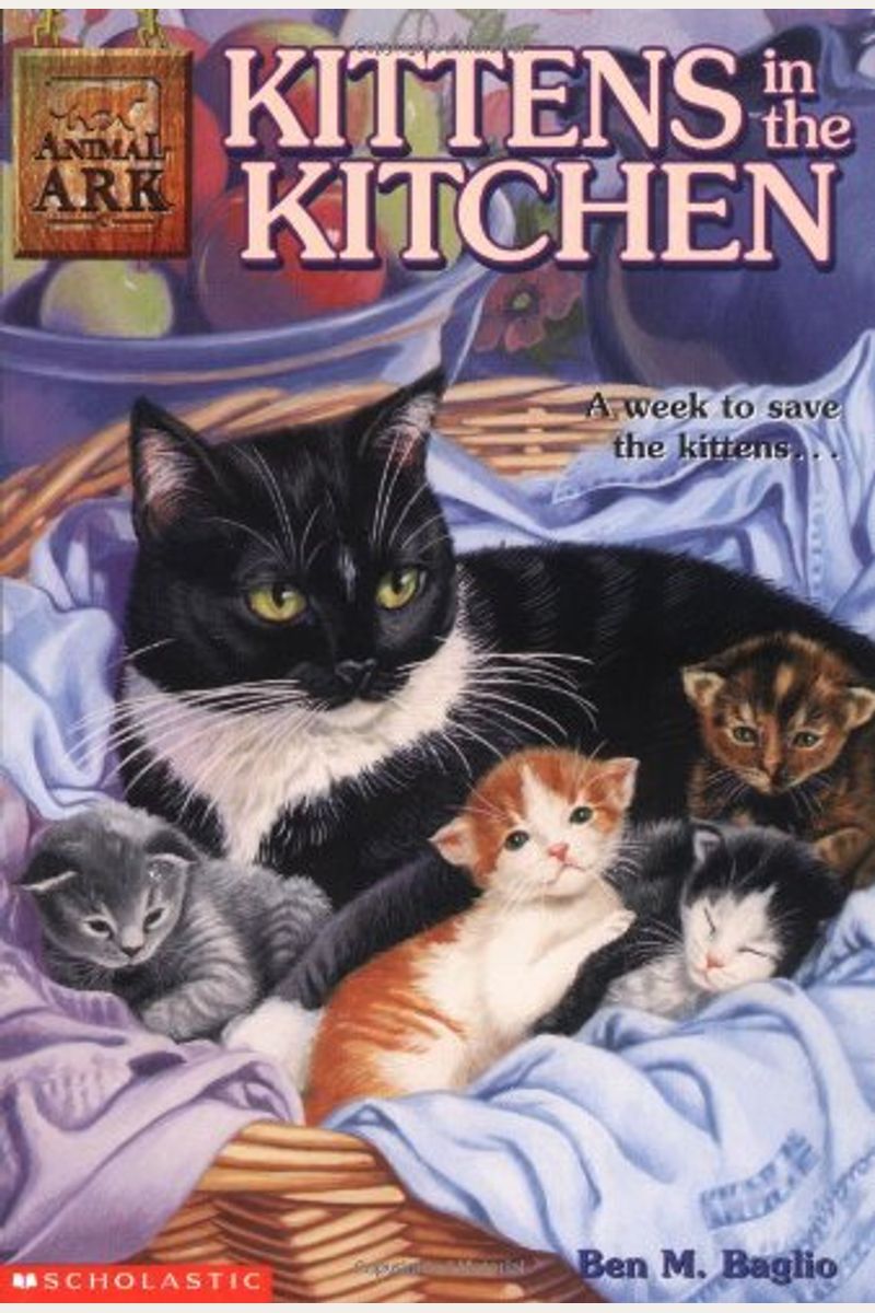 Kittens In The Kitchen