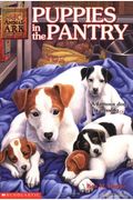 Puppies In The Pantry (Animal Ark Series)