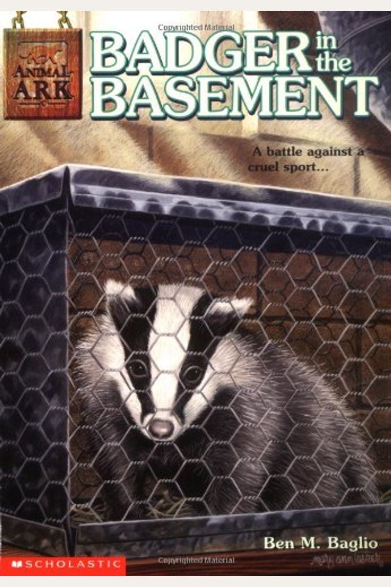 Badger In The Basement