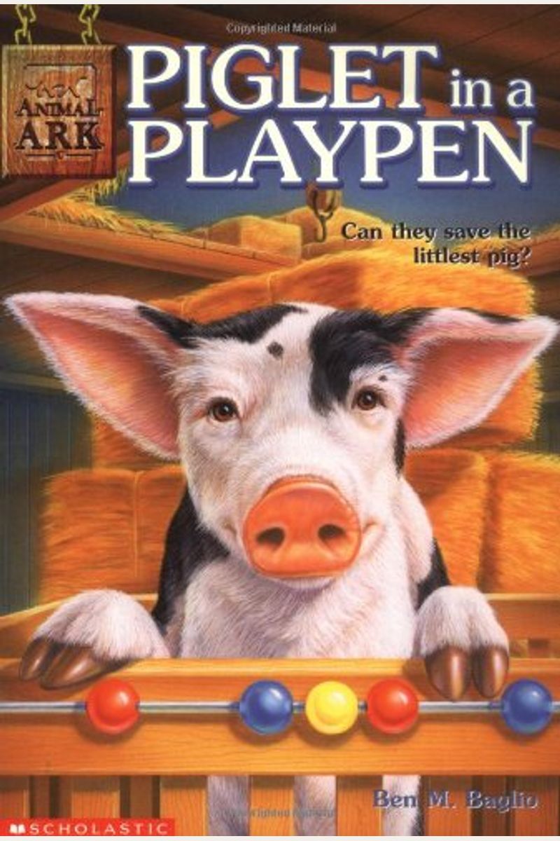 Piglet In A Playpen