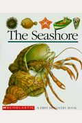 The Seashore (First Discovery Books)