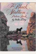 The Black Stallion Picture Book