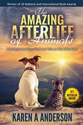 The Amazing Afterlife Of Animals Messages And Signs From Our Pets On The Other Side